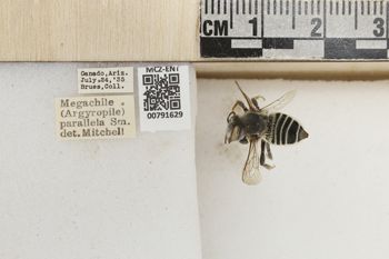 Media type: image;   Entomology 791629 Aspect: Labels